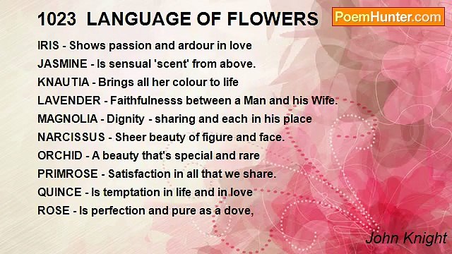 John Knight - 1023 LANGUAGE OF FLOWERS