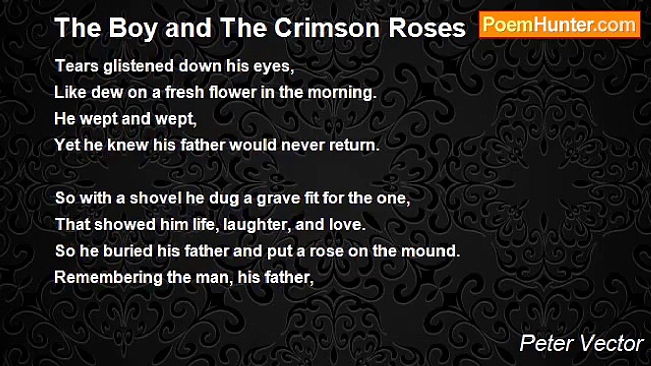 Peter Vector - The Boy and The Crimson Roses