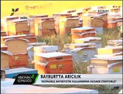 Bal Arıcılığı - Gümüşhane ve Bayburt Arıcıları, Bayburt Balı- 2. Bölüm