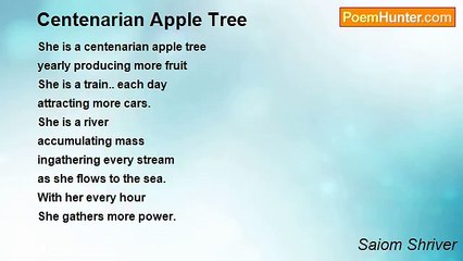 Saiom Shriver - Centenarian Apple Tree