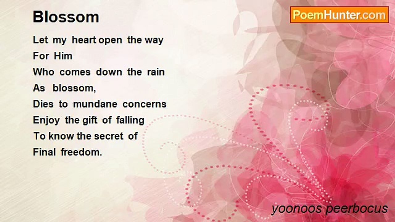 yoonoos peerbocus - Blossom