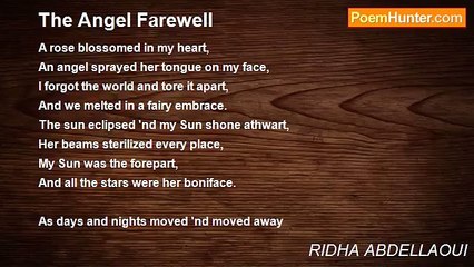 The Angel Farewell by Ridha Abdellaoui