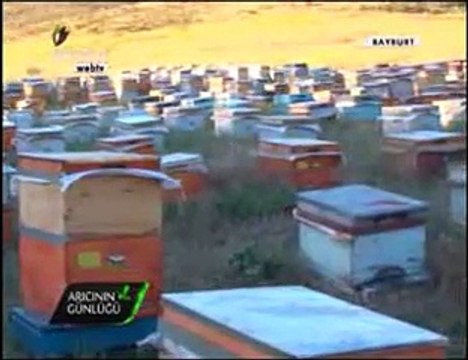 Bal Arıcılığı - Gümüşhane ve Bayburt Arıcıları, Bayburt Balı- 4. Bölüm