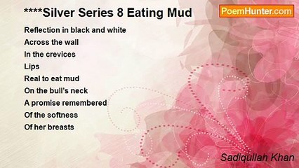 Sadiqullah Khan - ****Silver Series 8 Eating Mud