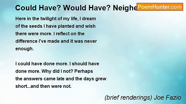 (brief renderings) Joe Fazio - Could Have? Would Have? Neigher?