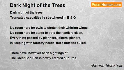 sheena blackhall - Dark Night of the Trees