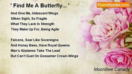 MoonBee Canady - ' Find Me A Butterfly... '