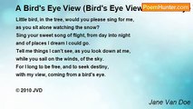 Jane Van Doe - A Bird's Eye View (Bird's Eye View A Bird's Eye View)