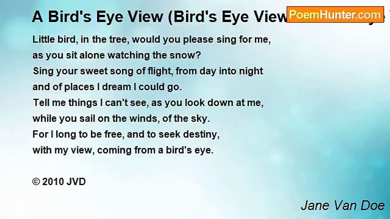 Jane Van Doe - A Bird's Eye View (Bird's Eye View A Bird's Eye View)