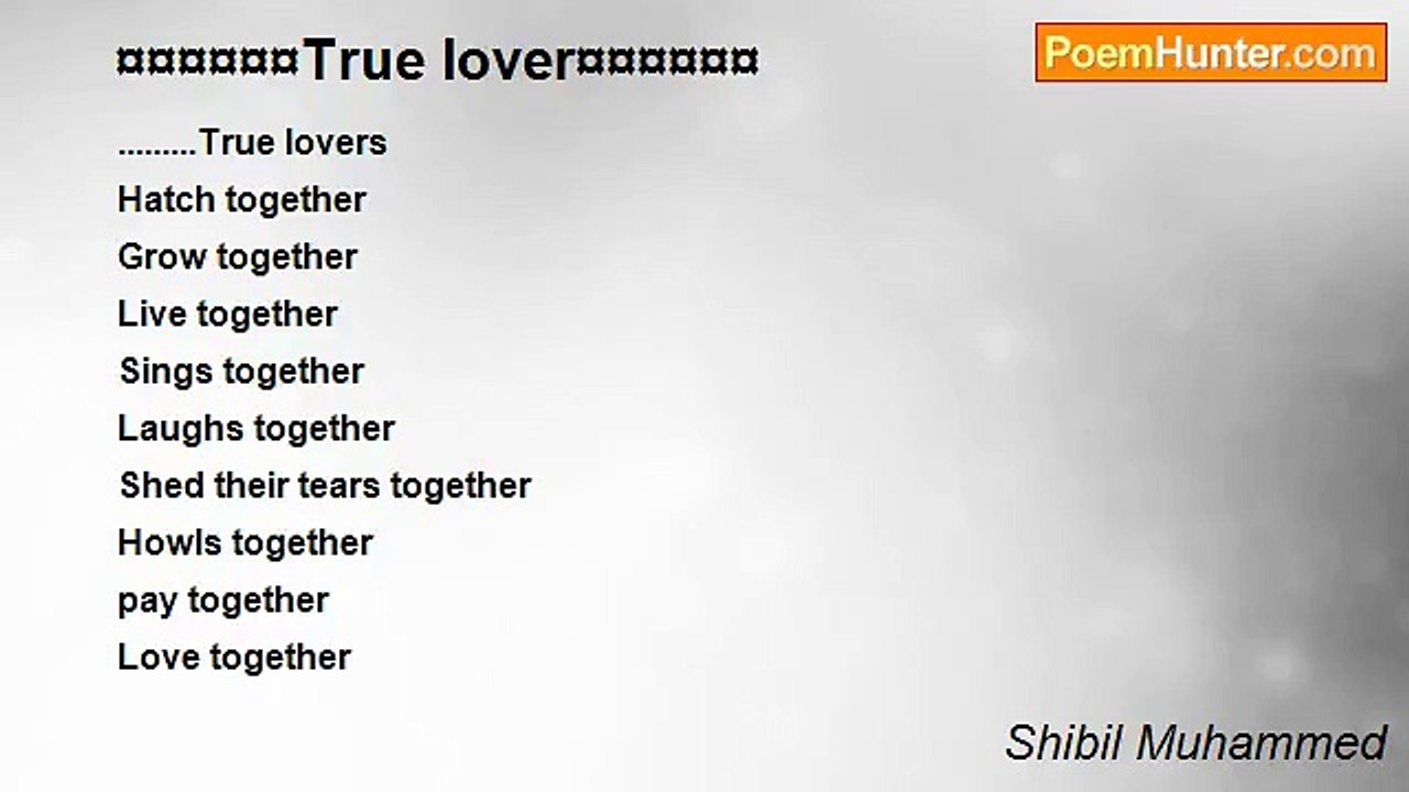 Shibil Muhammed - ¤¤¤¤¤¤True lover¤¤¤¤¤¤
