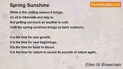 Ellen Ni Bheachain - Spring Sunshine