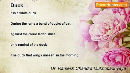 Dr. Ramesh Chandra Mukhopadhyaya - Duck