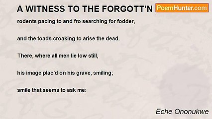 Eche Ononukwe - A WITNESS TO THE FORGOTT'N