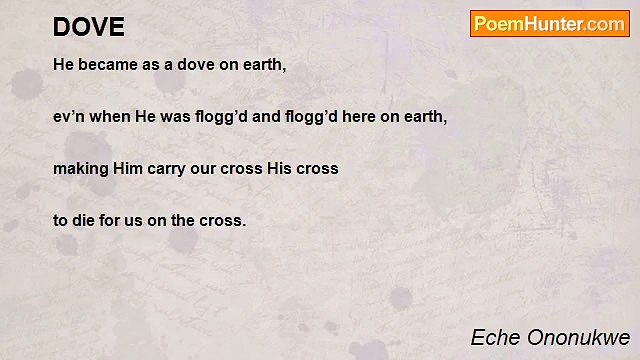 Eche Ononukwe - DOVE