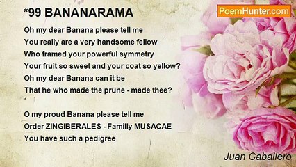 Juan Caballero - *99 BANANARAMA