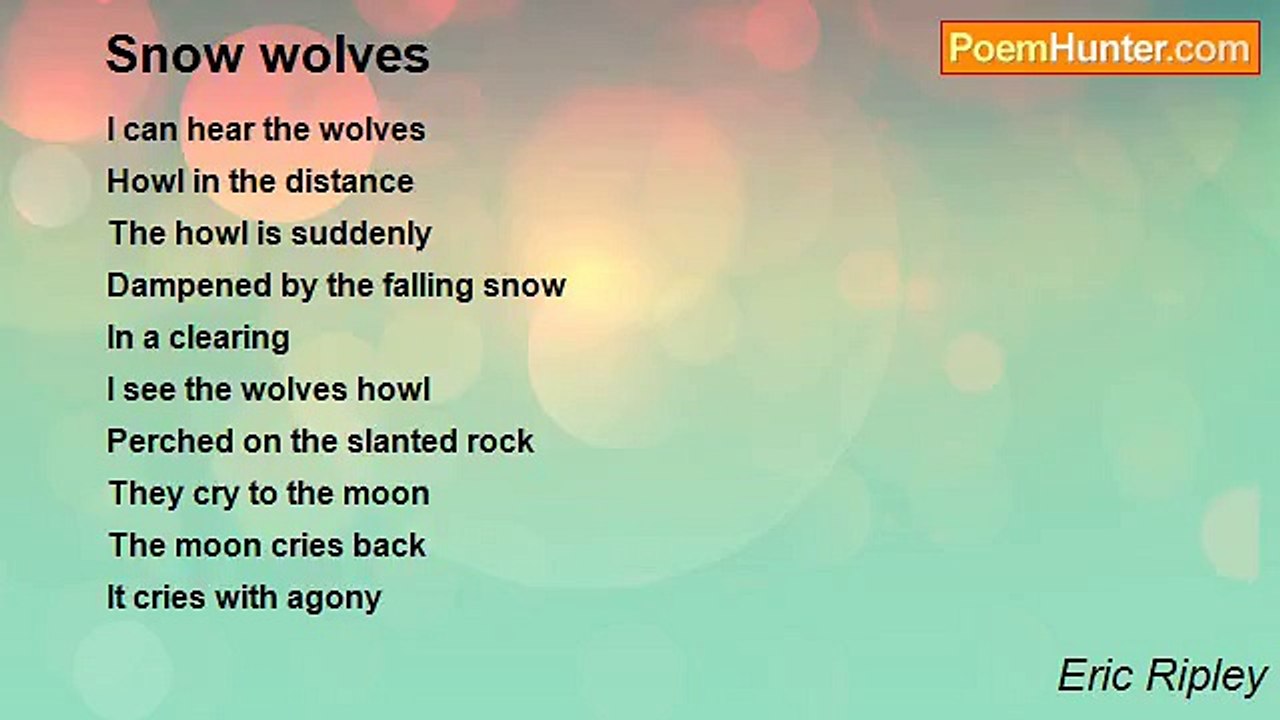 Eric Ripley - Snow wolves