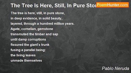 Pablo Neruda - The Tree Is Here, Still, In Pure Stone