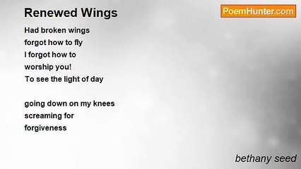 bethany seed - Renewed Wings