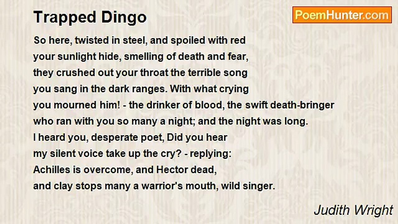 Judith Wright - Trapped Dingo