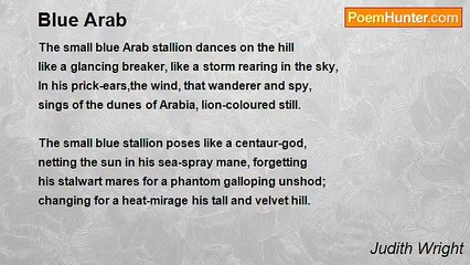 Judith Wright - Blue Arab