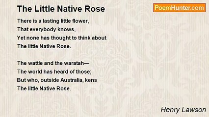 Henry Lawson - The Little Native Rose