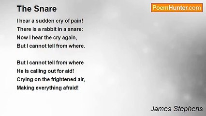 James Stephens - The Snare