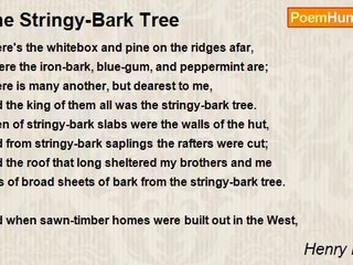 Henry Lawson - The Stringy-Bark Tree