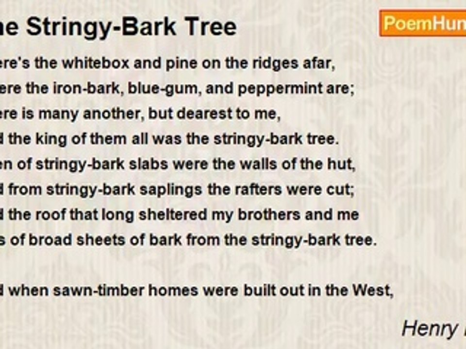 Henry Lawson - The Stringy-Bark Tree