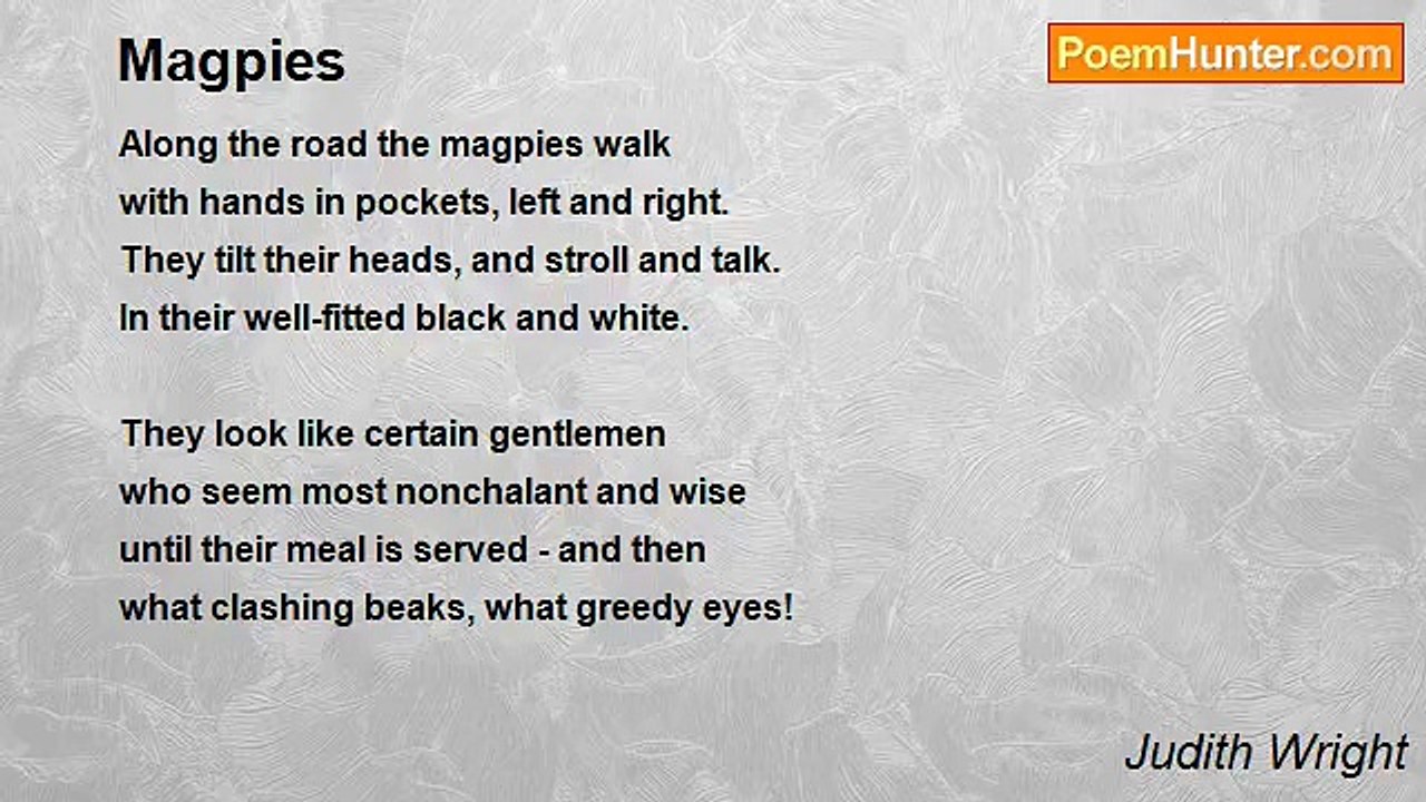 Judith Wright - Magpies