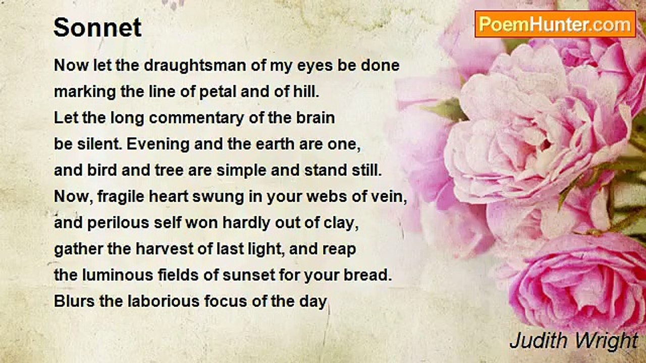 Judith Wright - Sonnet