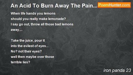 iron panda 23 - An Acid To Burn Away The Pain........?