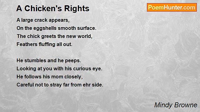 Mindy Browne - A Chicken's Rights