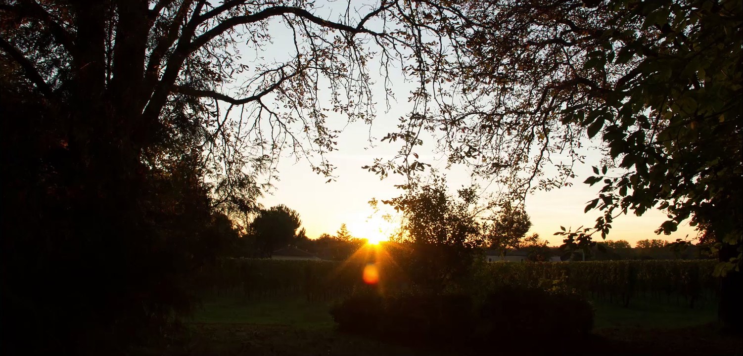 Sud Ouest France 6 façons de dire je t'aime  Episode 5