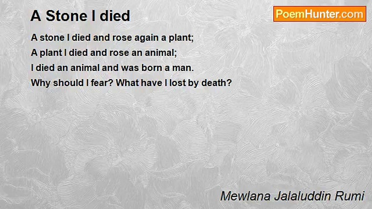 Mewlana Jalaluddin Rumi - A Stone I died
