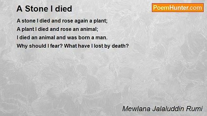 Mewlana Jalaluddin Rumi - A Stone I died