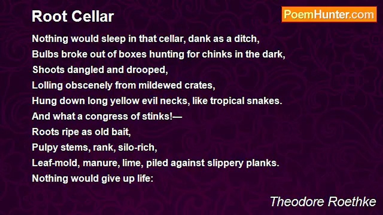 Theodore Roethke - Root Cellar