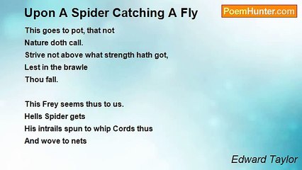 Edward Taylor - Upon A Spider Catching A Fly