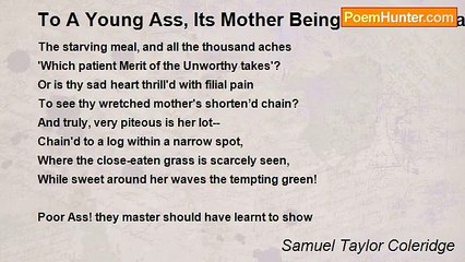 Samuel Taylor Coleridge - To A Young Ass, Its Mother Being Tethered Near It