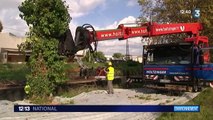 Des communes se dressent contre l'abattage des platanes malades le long du canal du Midi