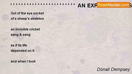 Dónall Dempsey - ' ' ' ' ' ' ' ' ' ' ' ' ' ' ' ' ' ' ' ' ' ' ' '  AN EXPLOSION OF SILENCE