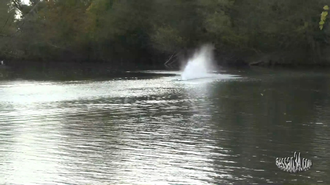 Offshore Rc Occitan 34 à Bessan