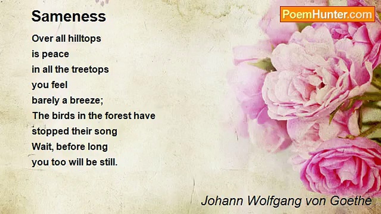 Johann Wolfgang von Goethe - Sameness