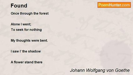 Johann Wolfgang von Goethe - Found