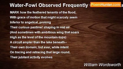 William Wordsworth - Water-Fowl Observed Frequently Over The Lakes Of Rydal And Grasmere