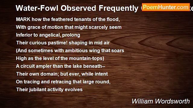 William Wordsworth - Water-Fowl Observed Frequently Over The Lakes Of Rydal And Grasmere