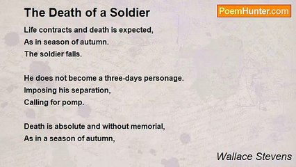 Wallace Stevens - The Death of a Soldier