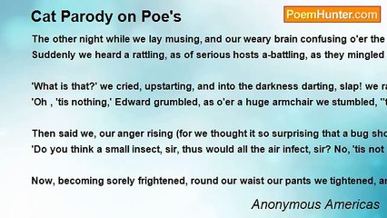 Anonymous Americas - Cat Parody on Poe's