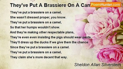 Sheldon Allan Silverstein - They've Put A Brassiere On A Camel