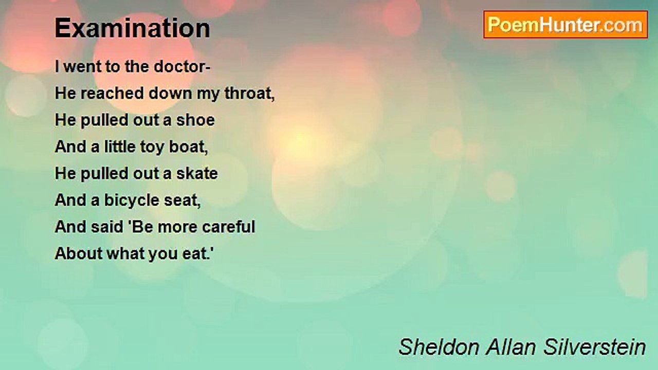 Sheldon Allan Silverstein - Examination