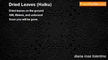 diana rose tolentino - Dried Leaves (Haiku)